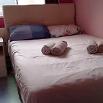 Iris House
